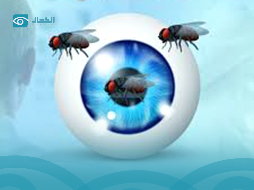 ذبابة-العين الوقاية من ذبابة العين