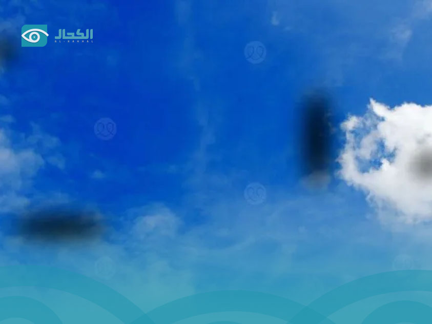 ذبابة-العين ذبابة-العين