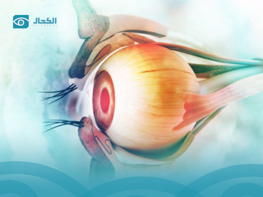 العلاج الجديد فابيسمو